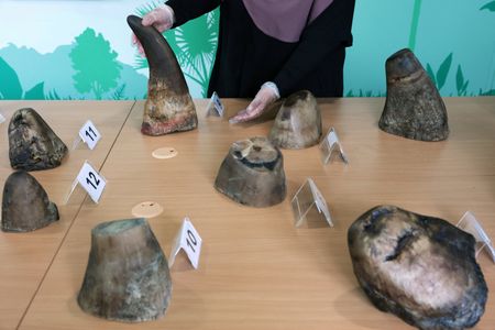 tagreuters.com2025binary_LYNXMPELAH0BN-VIEWIMAGE