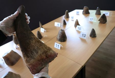 tagreuters.com2025binary_LYNXMPELAH0BX-VIEWIMAGE