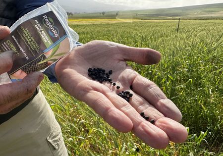 tagreuters.com2025binary_LYNXMPELAH0BK-VIEWIMAGE