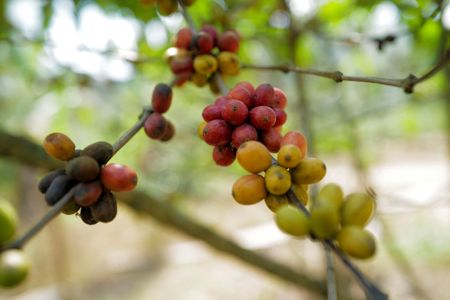 tagreuters.com2023binary_LYNXMPEJ1M095-VIEWIMAGE