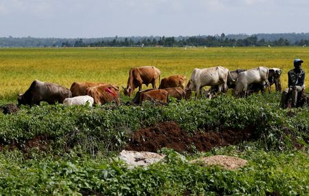 tagreuters.com2023binary_LYNXMPEJ7L0NL-VIEWIMAGE