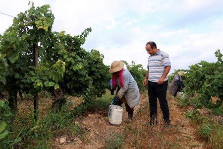 tagreuters.com2023binary_LYNXMPEJ860KW-VIEWIMAGE