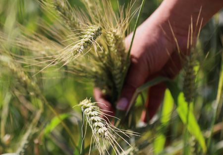 tagreuters.com2024binary_LYNXMPEKBQ0CM-VIEWIMAGE