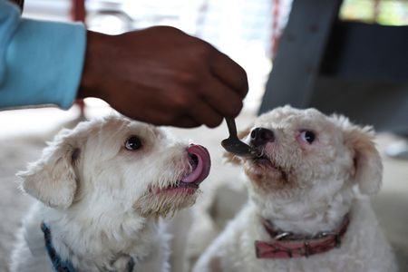 tagreuters.com2025binary_LYNXMPEL5908T-VIEWIMAGE