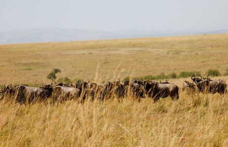 tagreuters.com2025binary_LYNXMPEL7B0KF-VIEWIMAGE