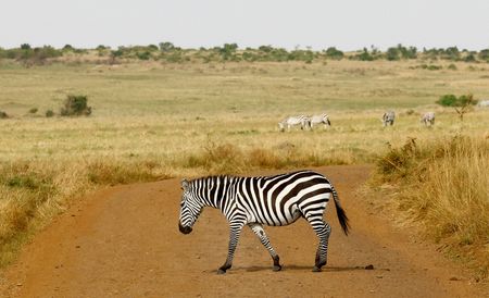 tagreuters.com2025binary_LYNXMPEL7B0KK-VIEWIMAGE