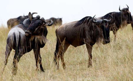 tagreuters.com2025binary_LYNXMPEL7B0KL-VIEWIMAGE