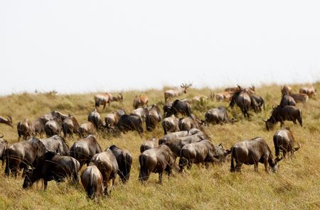 tagreuters.com2025binary_LYNXMPEL7B0KO-VIEWIMAGE