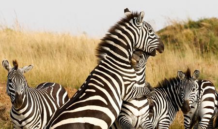 tagreuters.com2025binary_LYNXMPEL7B0KP-VIEWIMAGE