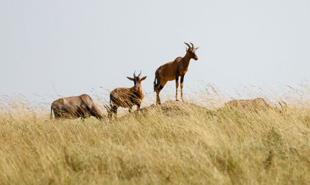 tagreuters.com2025binary_LYNXMPEL7B0KU-VIEWIMAGE