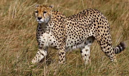 tagreuters.com2025binary_LYNXMPEL7B0KW-VIEWIMAGE