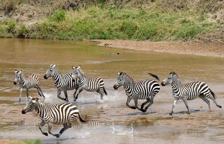 tagreuters.com2025binary_LYNXMPEL7I0NL-VIEWIMAGE