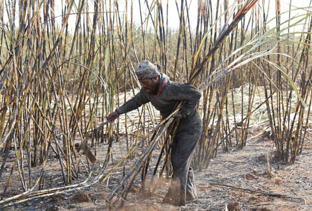 tagreuters.com2025binary_LYNXMPEL8309D-VIEWIMAGE