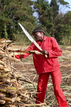 tagreuters.com2025binary_LYNXMPEL8309F-VIEWIMAGE