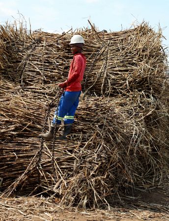 tagreuters.com2025binary_LYNXMPEL8309G-VIEWIMAGE