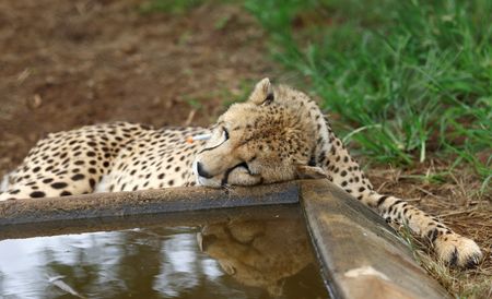 tagreuters.com2023binary_LYNXMPEJ1G0IH-VIEWIMAGE