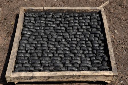 tagreuters.com2023binary_LYNXMPEJ1L0V5-VIEWIMAGE