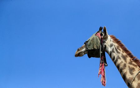 tagreuters.com2023binary_LYNXMPEJ1Q0CV-VIEWIMAGE