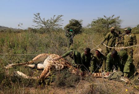 tagreuters.com2023binary_LYNXMPEJ1Q0DE-VIEWIMAGE