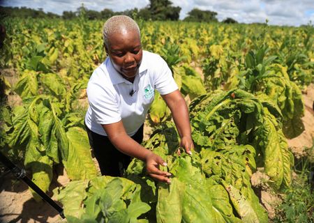 tagreuters.com2023binary_LYNXMPEJ270M1-VIEWIMAGE