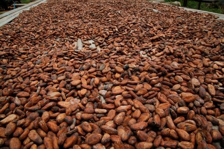 tagreuters.com2023binary_LYNXMPEJ4F08Y-VIEWIMAGE