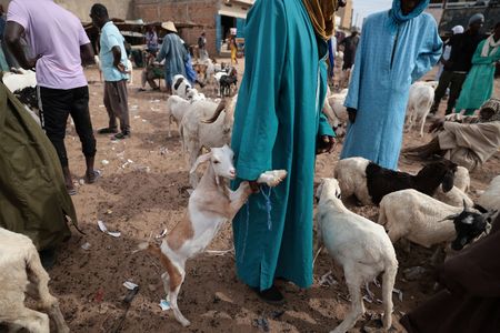 tagreuters.com2023binary_LYNXMPEJ5F07L-VIEWIMAGE