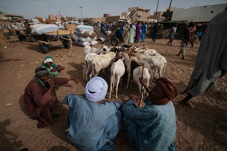 tagreuters.com2023binary_LYNXMPEJ5F07M-VIEWIMAGE