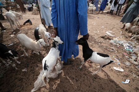 tagreuters.com2023binary_LYNXMPEJ5F08B-VIEWIMAGE