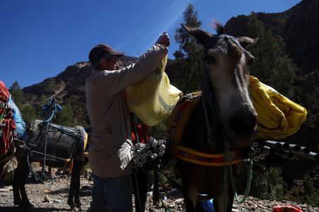 tagreuters.com2023binary_LYNXMPEJ8C11I-VIEWIMAGE