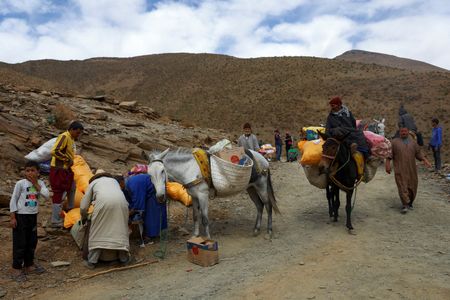 tagreuters.com2023binary_LYNXMPEJ8D0WV-VIEWIMAGE