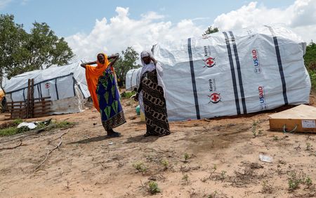 tagreuters.com2023binary_LYNXMPEJAR0QA-VIEWIMAGE