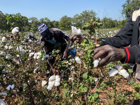 tagreuters.com2023binary_LYNXMPEJB606P-VIEWIMAGE