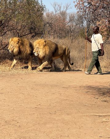 tagreuters.com2024binary_LYNXMPEK7T08J-VIEWIMAGE