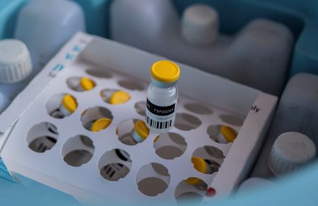 tagreuters.com2024binary_LYNXMPEK9H07K-VIEWIMAGE