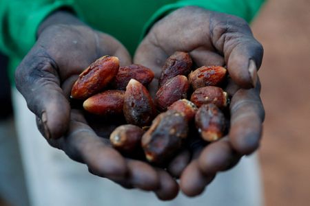 tagreuters.com2024binary_LYNXMPEKBN07E-VIEWIMAGE