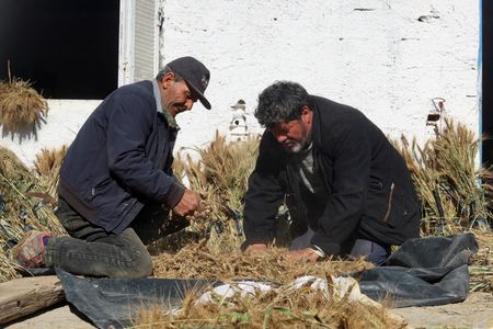 tagreuters.com2024binary_LYNXNPEK1K0IB-VIEWIMAGE