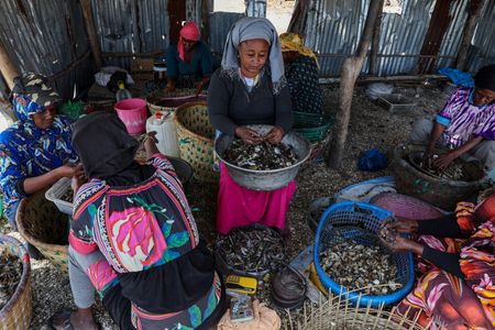 tagreuters.com2024binary_LYNXNPEK2L05X-VIEWIMAGE