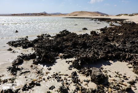 tagreuters.com2025binary_LYNXMPEL3E09U-VIEWIMAGE