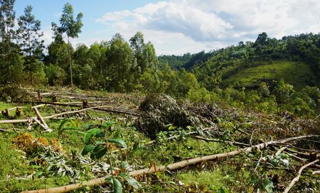 tagreuters.com2025binary_LYNXMPEL4L09P-VIEWIMAGE