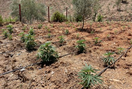 tagreuters.com2025binary_LYNXMPEL6S0GK-VIEWIMAGE