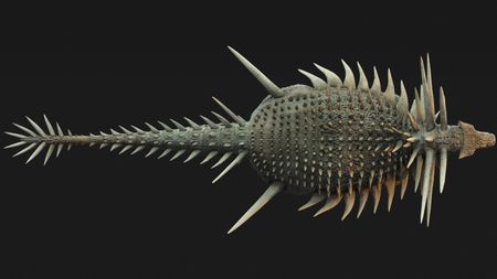 tagreuters.com2025binary_LYNXMPEL7Q0PW-VIEWIMAGE