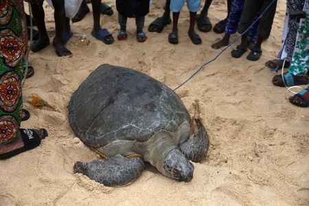 tagreuters.com2025binary_LYNXMPEL9S0KZ-VIEWIMAGE