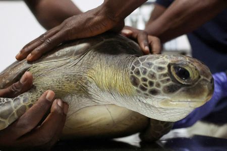 tagreuters.com2025binary_LYNXMPEL9S0L0-VIEWIMAGE