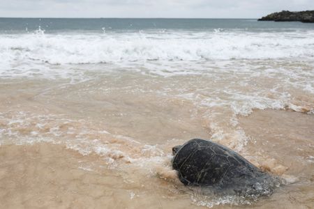 tagreuters.com2025binary_LYNXMPEL9S0LY-VIEWIMAGE