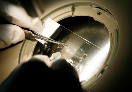 tagreuters.com2025binary_LYNXMPELAB1AN-VIEWIMAGE