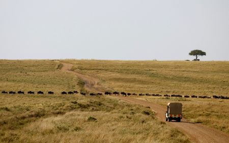 tagreuters.com2025binary_LYNXMPELAQ0MG-VIEWIMAGE