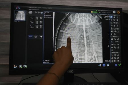 tagreuters.com2025binary_LYNXNPEL8E07U-VIEWIMAGE