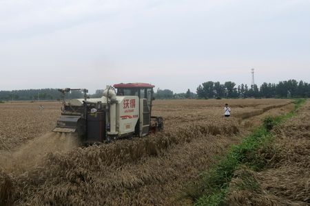 tagreuters.com2023binary_LYNXMPEJ6E016-VIEWIMAGE