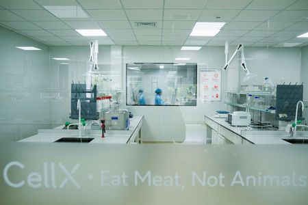 tagreuters.com2023binary_LYNXMPEJ7906H-VIEWIMAGE