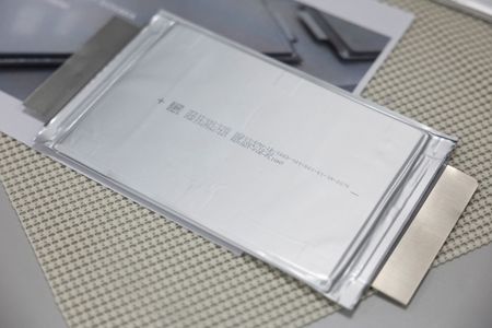 tagreuters.com2024binary_LYNXMPEKBJ0BY-VIEWIMAGE